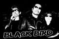 翔＆BLACKBIRD