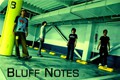 BLUFF NOTES