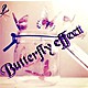 Butterfly effect
