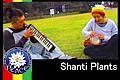 Shanti Plants