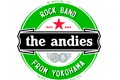 the andies
